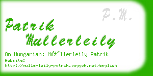 patrik mullerleily business card